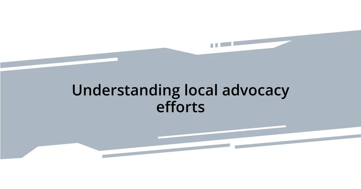 Understanding local advocacy efforts