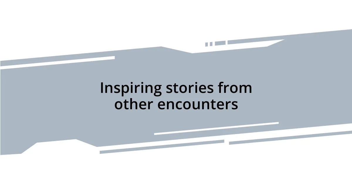 Inspiring stories from other encounters